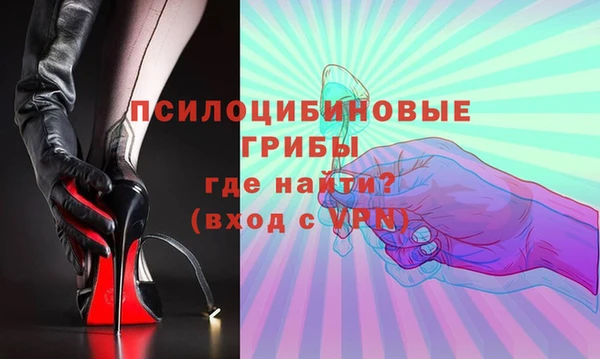 бошки Балахна